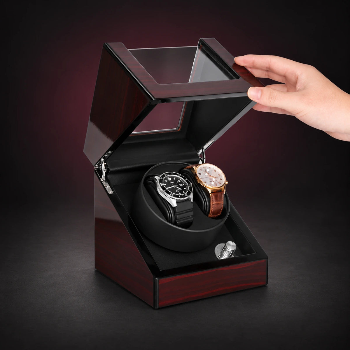 Piano double watch winder shown with a hand lifting the clear hinged lid; demonstration watches are not included.